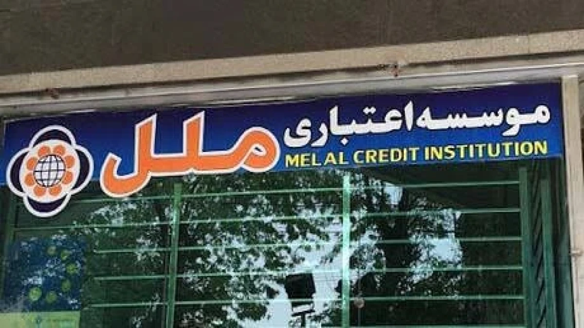 شفاف‌سازی «وملل» در خصوص کاهش ۵۲ درصدی زیان خالص